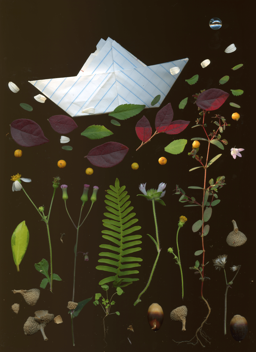 Walking Story Meditations: Orlando,&nbsp;Florida